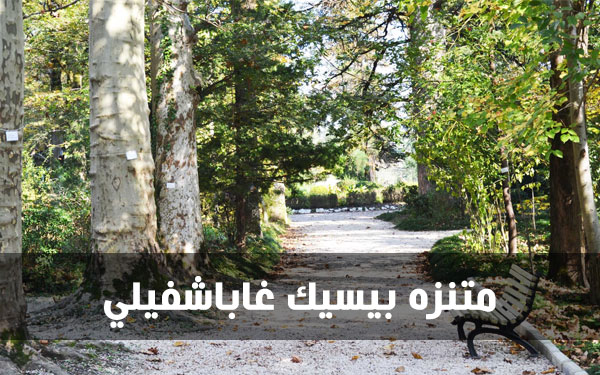 متنزه بيسيك غاباشفيلي